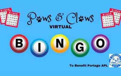 Paws & Claws Bingo is Back!!!