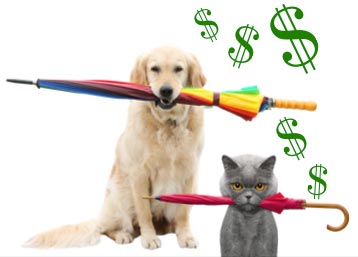 A golden retriever and a gray cat hold umbrellas in their mouths. They are surrounded by dollar signs.